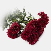 دسته گل داوودی زرشکی