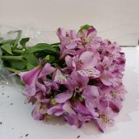دسته گل آلسترومریا باکسی بنفش
