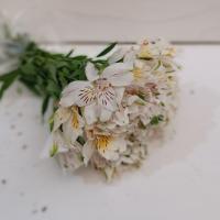 دسته گل آلسترومریا باکسی سفید