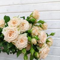 دسته گل رز مینیاتوری گلبهی