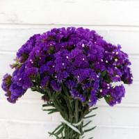 دسته گل زنبوری بنفش