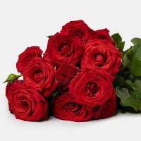 دسته گل رز مینیاتوری قرمز 1 دسته (5 شاخه)