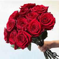 دسته گل رز قرمز 1 دسته (13 شاخه)