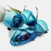 دسته گل رز هلندی آبی 1 دسته 7 شاخه ای
