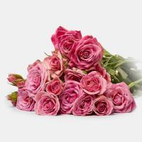 دسته گل رز مینیاتوری صورتی 3 تا 4 شاخه