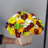 سبد گل بهاره طیف رنگی زرد