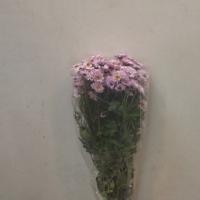 دسته گل بابونه صورتی