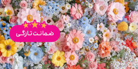 گل زنبق طلائی