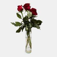 دسته گل رز قرمز هلندی