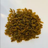 کشمش سبز