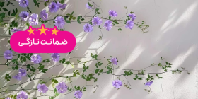گل رویایی