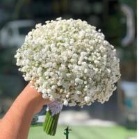 دسته گل عروس (ژیپسوفیلیا)
