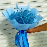دسته گل ژیپسوفیلیا آبی