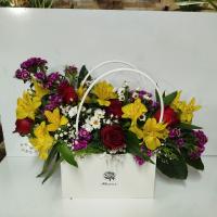 بگ ویژه