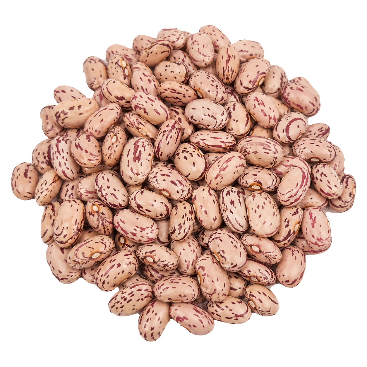 لوبیا چیتی