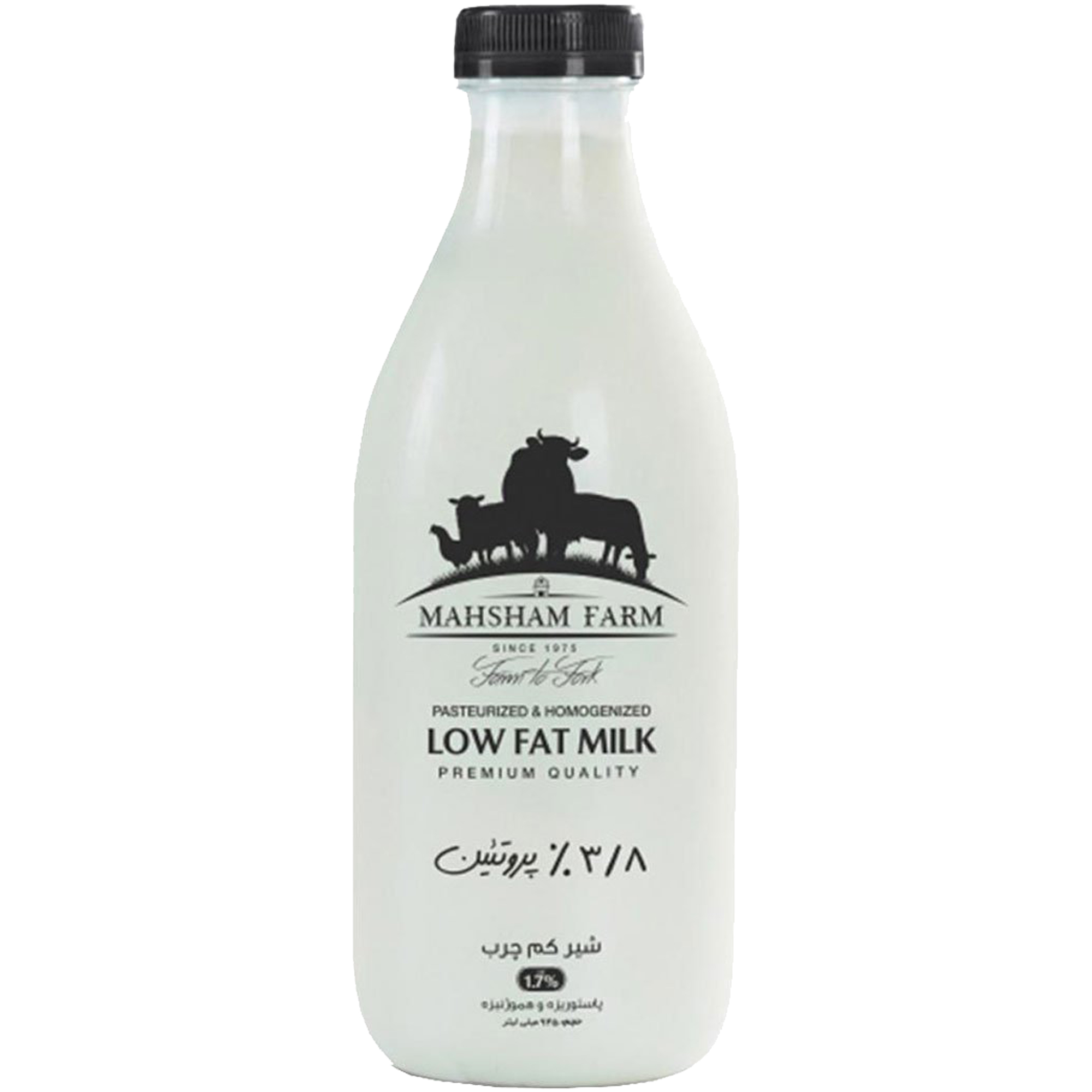 dairy