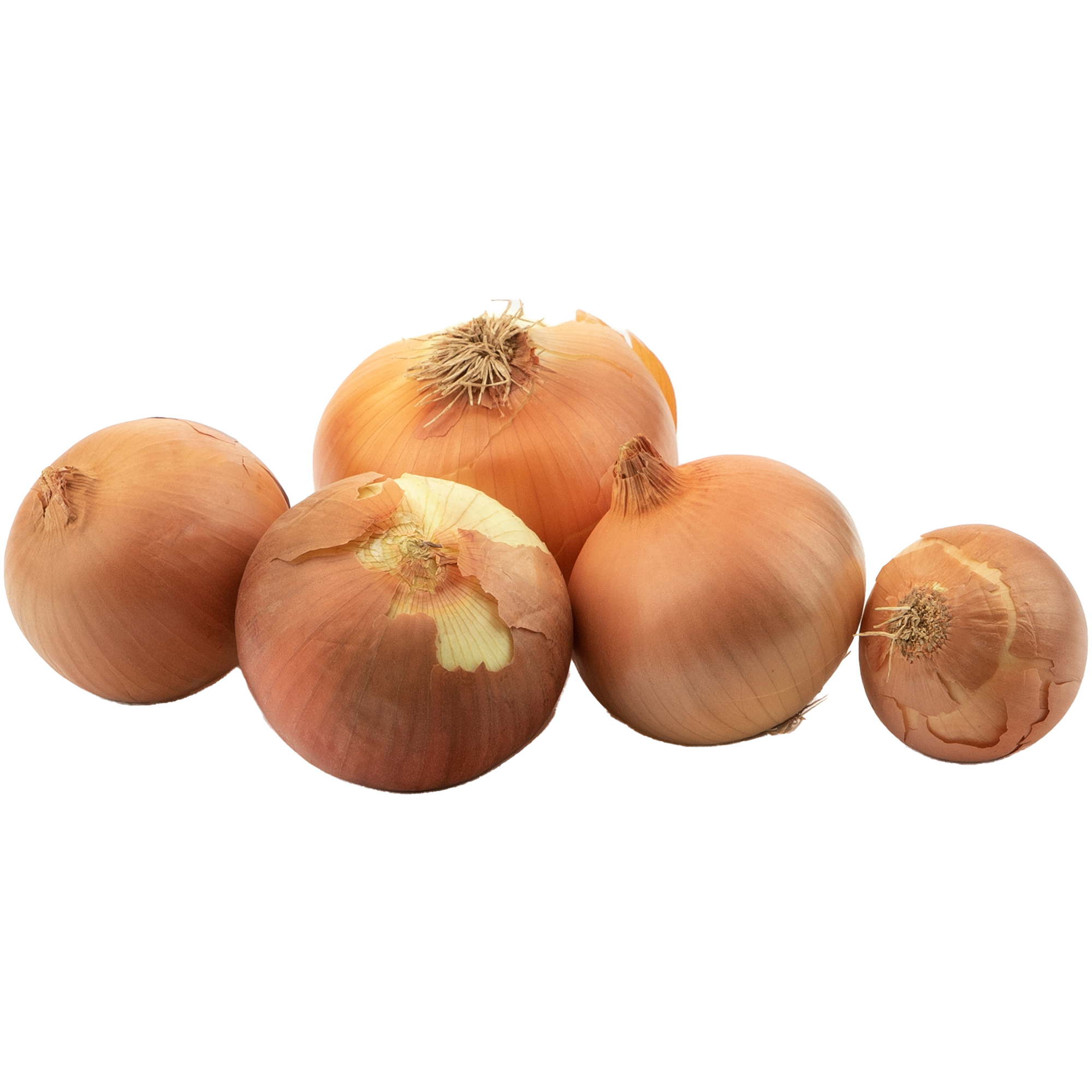 fruits-vegetables