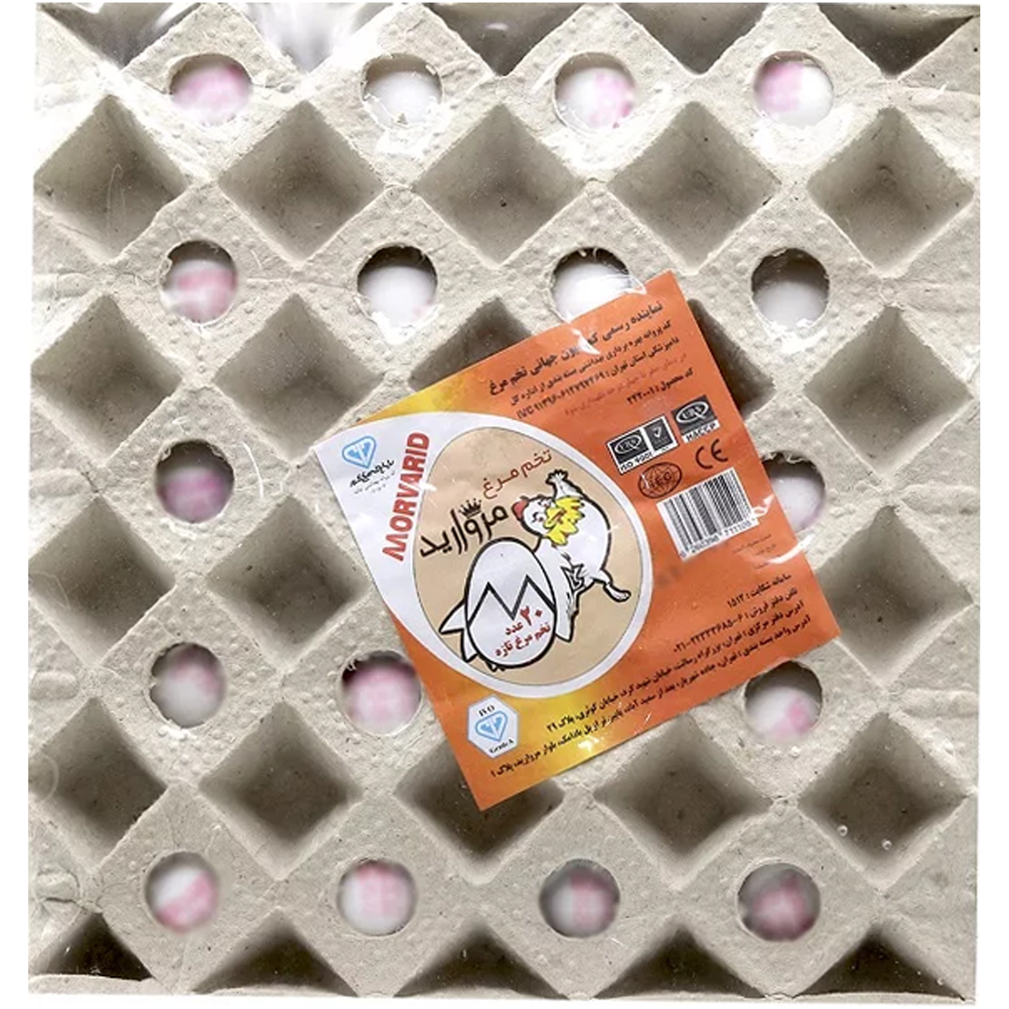 meat-egg