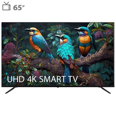 Three colorful birds on a branch displayed on a UHD 4K smart TV.