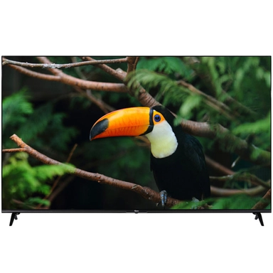 LED TV showing a toucan bird perched on a tree branch in the jungle.