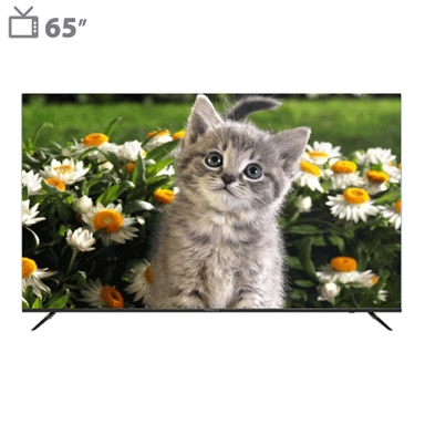 LED TV displaying a cute gray kitten sitting among white daisies.