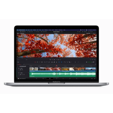 Apple MacBook Pro displaying video editing software with autumn scene
